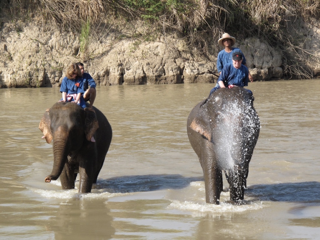 The Elephant Story Blog
